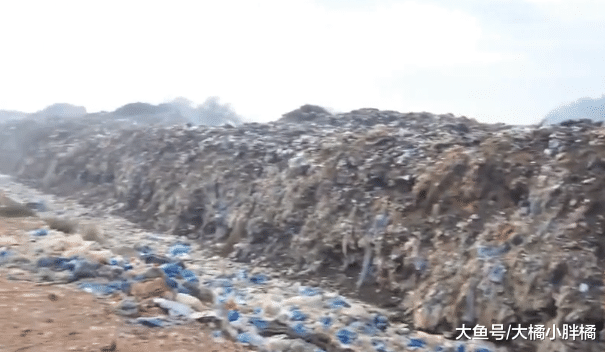小狗被当做垃圾扔掉，它为了活命拼命挣扎，幸好及时发现保住小命