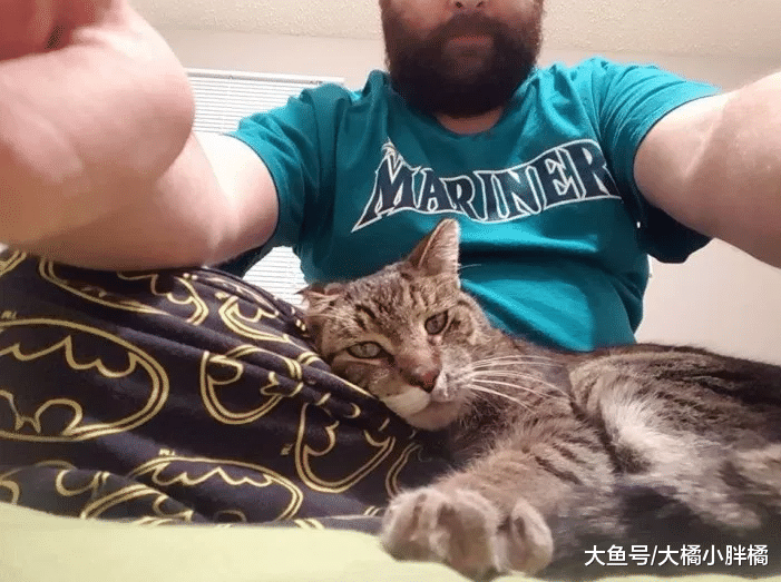 野猫在严寒中获救，被救时一直恐吓恩人，结果当晚就跟别人一起睡