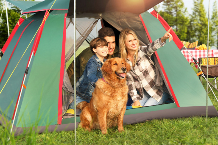 露营作为当之无愧的放松休闲新潮流，新手上路一定要掌握这4点，陪伴你安全出行