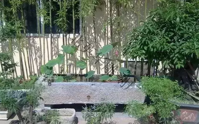 廚房搬進庭院 · 有酒有肉有故事