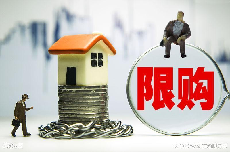 馮侖談限購，損害企業自主定價權