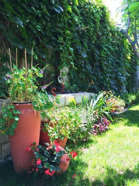 别墅后院的小花园