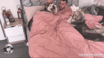 男子养了两个“小情人”，女主人很心塞，谁还不是宝宝呢？