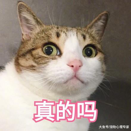 女友打来电话求复合，男子刚打算答应，一听条件秒挂电话