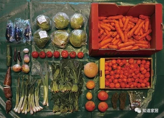 厨余垃圾、鸡蛋、甘蔗、树叶也能做餐具？原来厨房里处处可环保呀