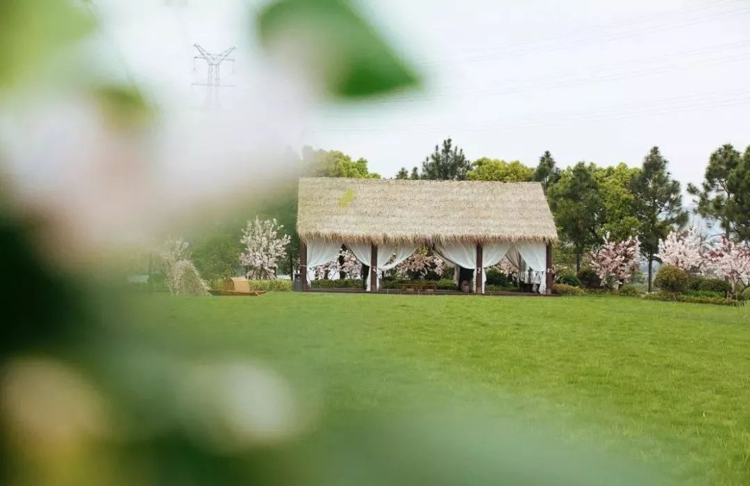 大城西拆迁风暴，来了！