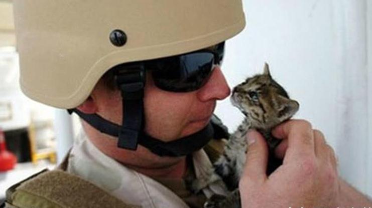 兵哥哥正在训练，突然一只猫咪误入军营，不料受到这样的待遇！