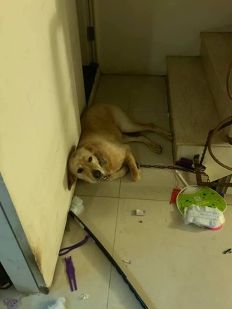 外面吃饭，突然收到老爸发来的照片，下一秒立马垮脸