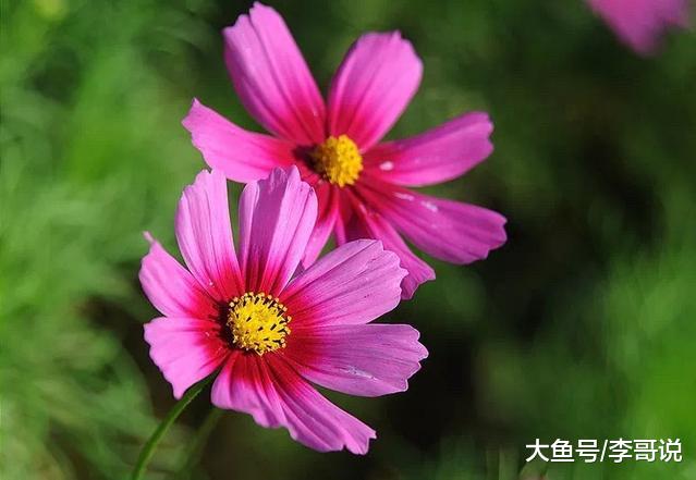 钱挣再多，又有啥用呢？太现实了！