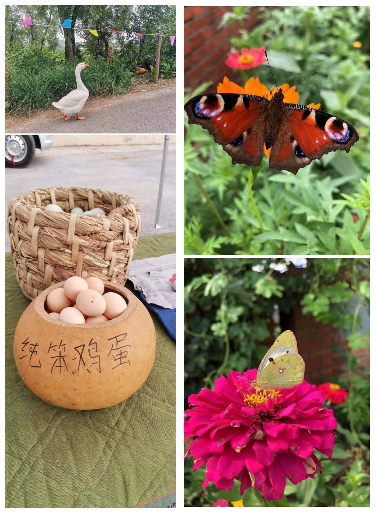 沈阳不缺“世外桃源”，棋盘山十里芳华，这里的空气有点甜