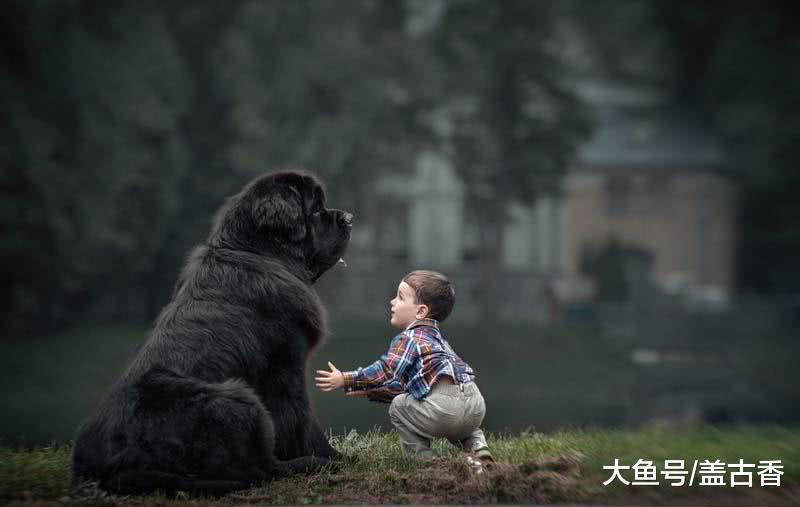 小主人想要跟姐姐一起玩，狗狗默默地躺在地上，场面十分温馨！