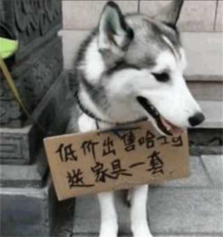 主人：二哈，你在干什么呢？二哈：我在挖宝藏啊