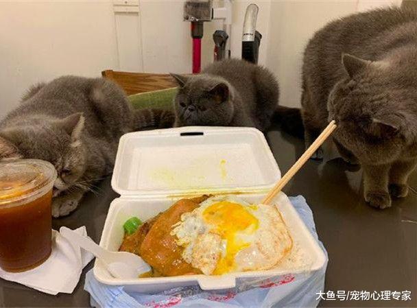 小伙点了外卖，刚打开饭盒后却下不了口：感觉会消化不良