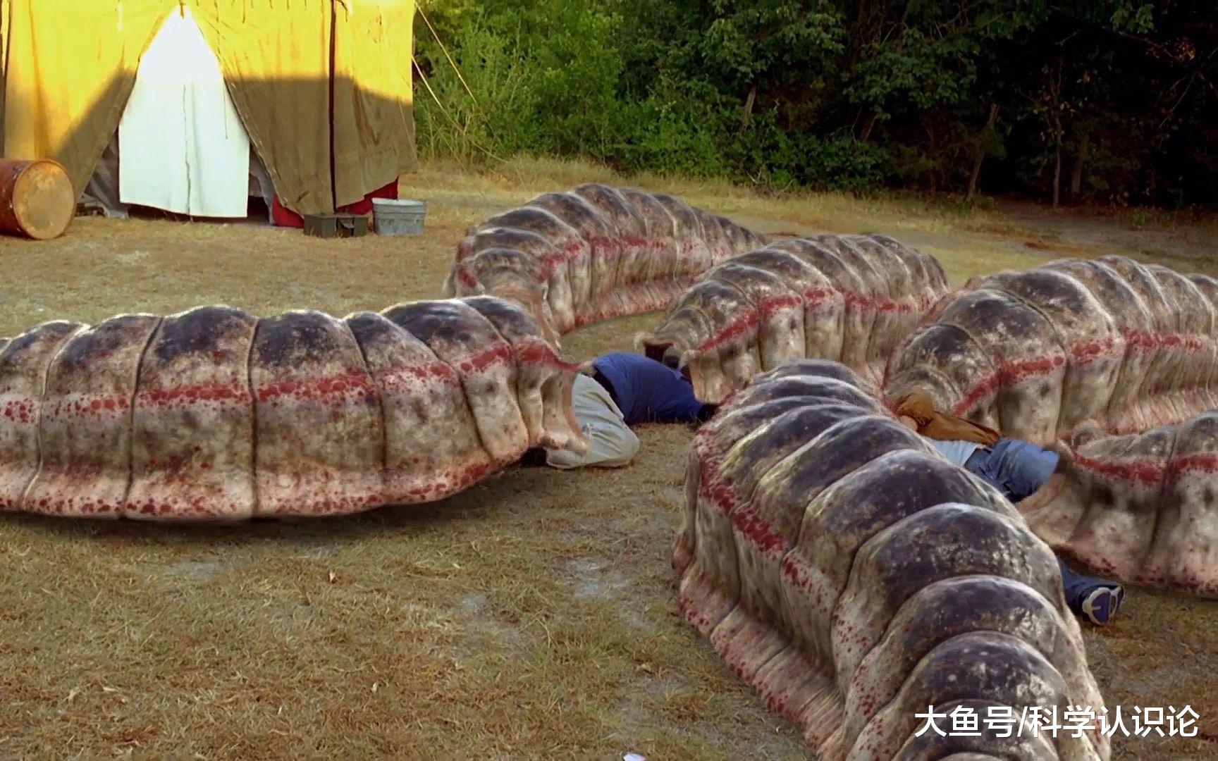 “蒙古死亡之虫”到底是传说,还是真实存在?