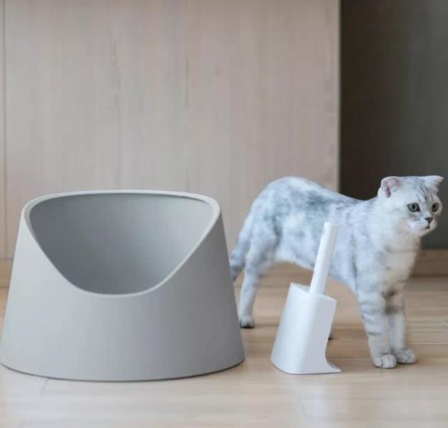 养猫我们日常必需品（用品）有哪些呢？