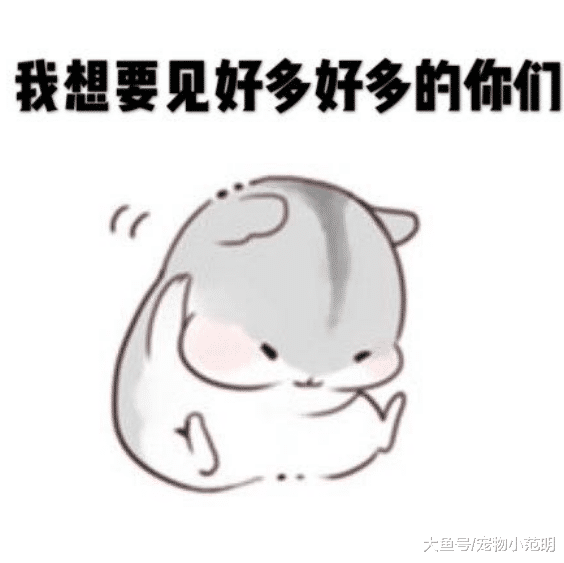 王源不仅学坏还恋上杨超越？盘点两人可能在一起的现象！