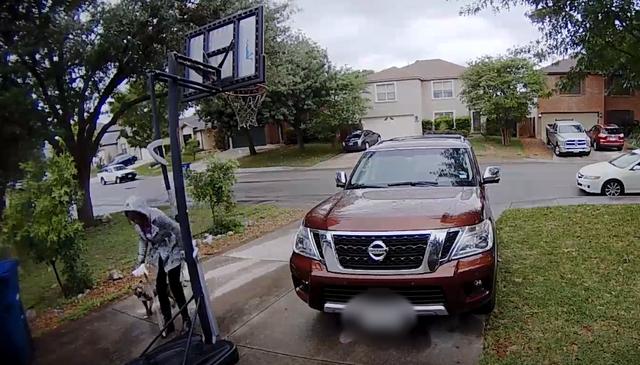 狗狗摇尾巴看主人，只是出门散步，为什么要绑我在路边？