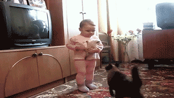 根据床单上的痕迹，我推测出了猫咪的行动轨迹