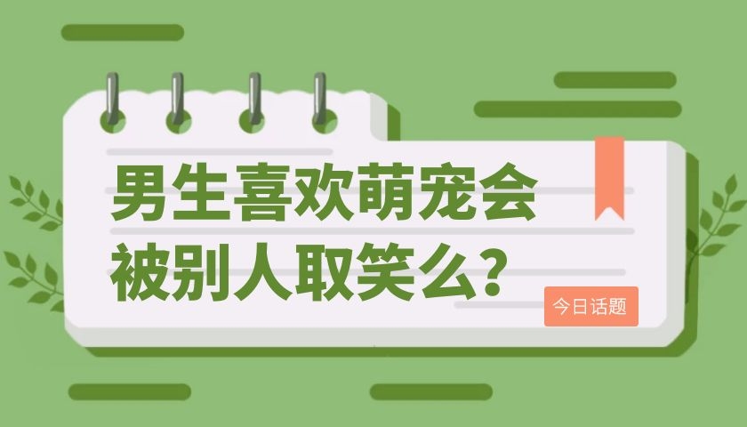 4种好脾气的猫咪，最后一名是猫咪老好人，常年被铲屎官欺负