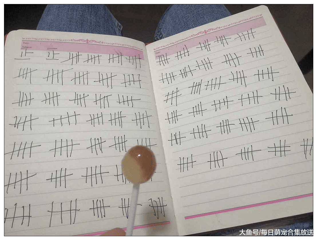 一根棒棒糖能“舔”多少下？网友用行动告诉你，简直不要太秀