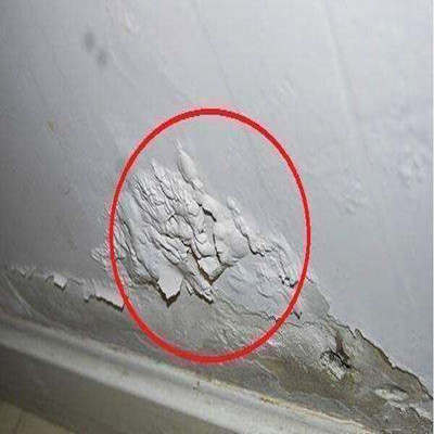 建议: 家家装上“万能封”, 隔音降噪家安静, 防虫保暖关门没声