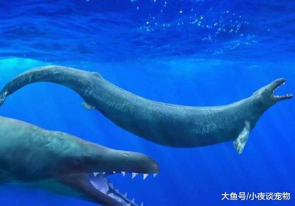 远古海洋十大霸主，远古海洋第一霸主实至名归