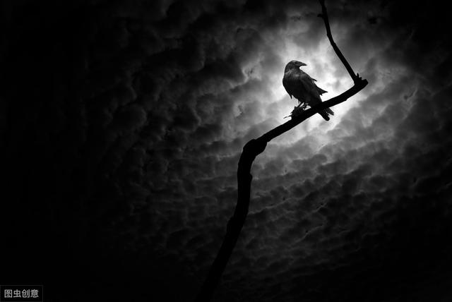 新“职场潜规则”：真正优秀的职场人，早已戒掉了情绪