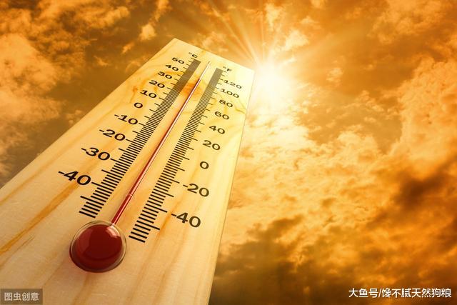 不管狗狗多大，如果突然喝很多水，其实是在暗示这5件事