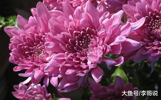 50岁以后，赢在心态！