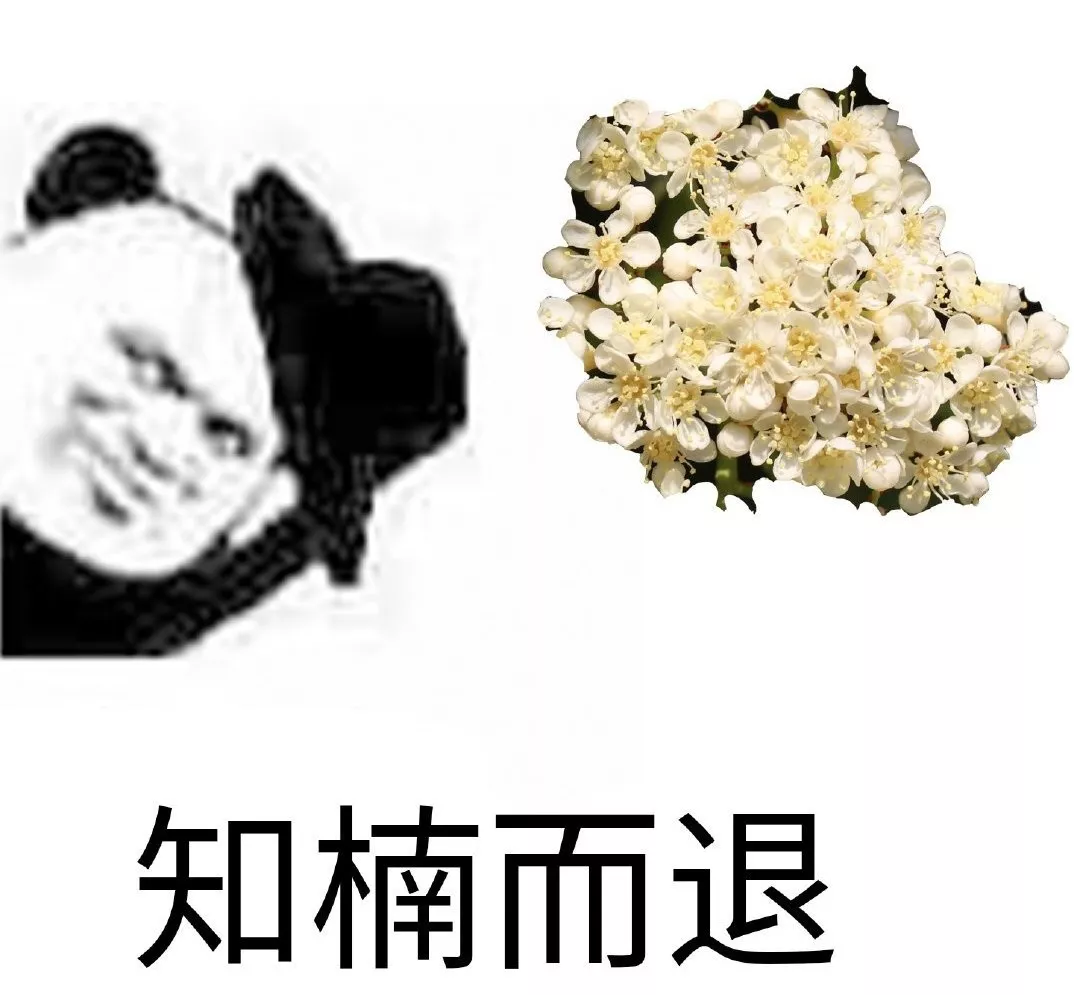 糟心植物大pk，谁是赢家？