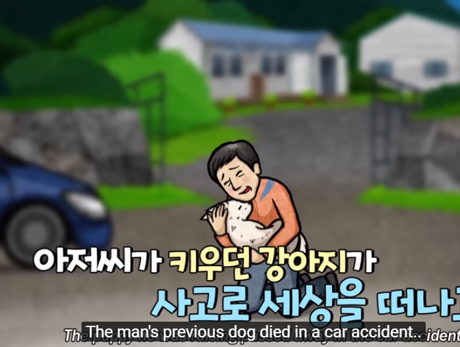 狗狗死掉了，他再也不愿意养第二只狗，流浪狗的执着让他改变想法