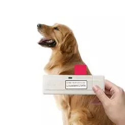 犬界专业名词解释及小知识集锦