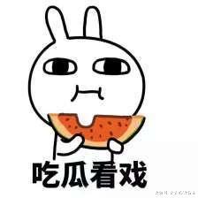 猫咪误入柯基领地，自己还来了脾气，主人举着手机连连后退