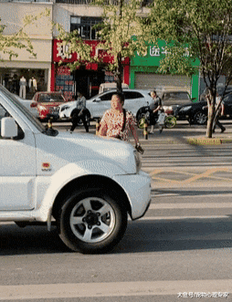 老远看到大妈拎着狗过马路，以为是虐待，走近后默默竖起大拇指