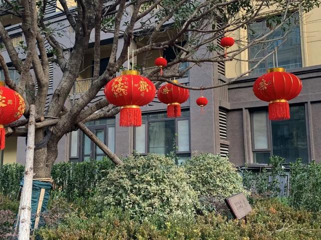 海博·长安府｜“家”期已至，恭迎业主回家，悦启美好新篇