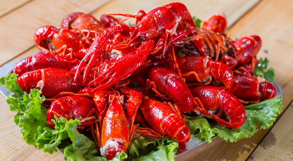 结果表明，小龙虾蛋白质含量高，肉软，消化率高