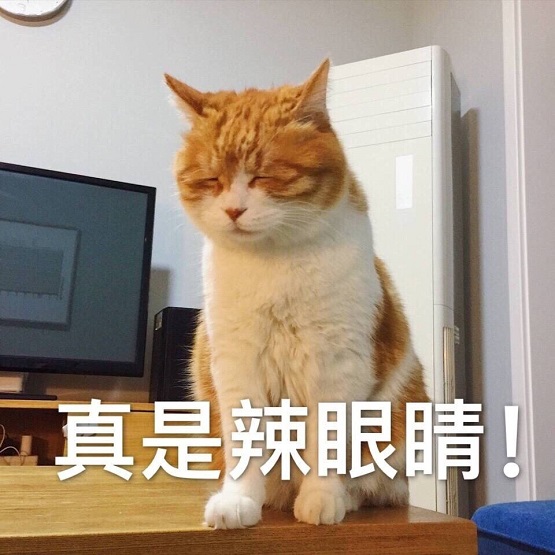 老鼠钻洞脑袋被卡住，第二天感觉屁屁后面凉飕飕的：有种不祥的预感
