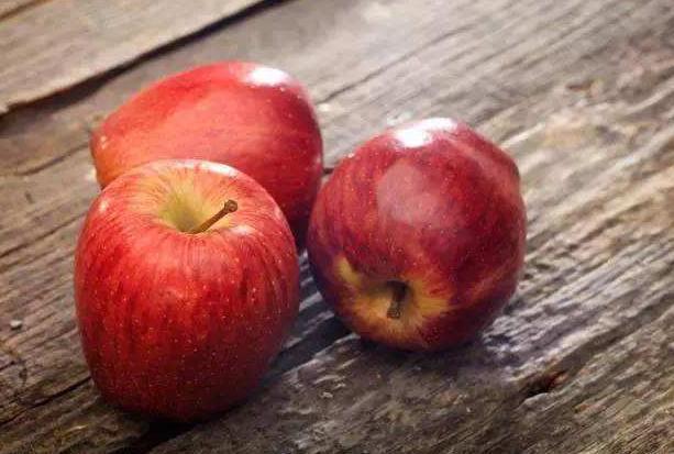 泰迪只有10-12岁, 等泰迪犬老了, 这样养肯定多活几年!