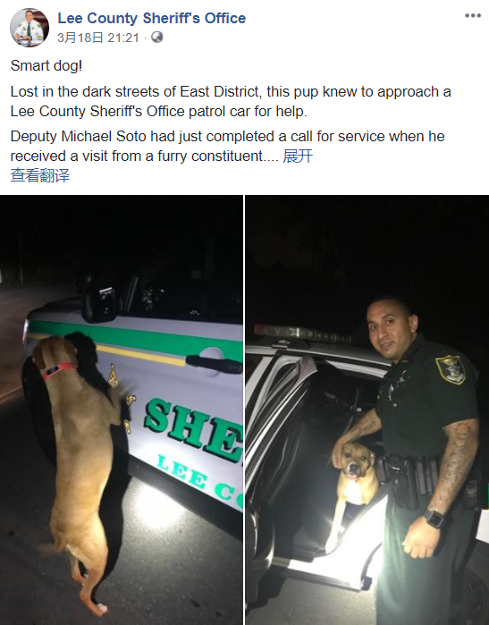 巡逻到一半，走失汪拦警车求助，暖心警察叔叔开车帮它找主人