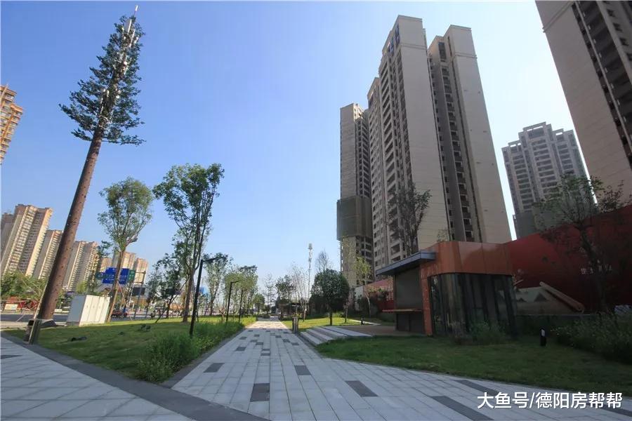 规划落地，德阳绵远河湿地，高铁西站房，青衣江小学都有新消息