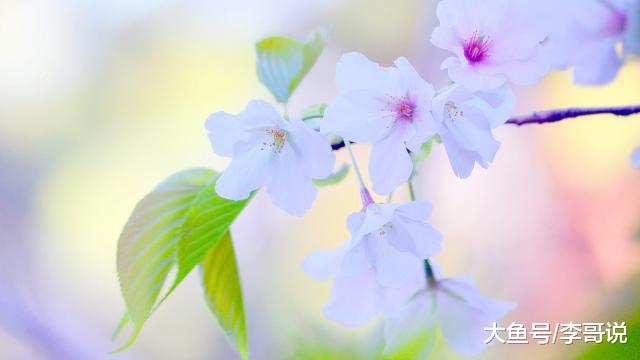 四个字，写尽人生（太深刻了！）