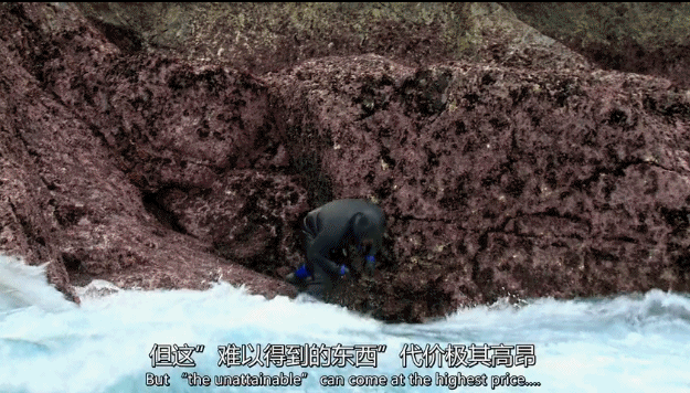 看完这些亿万富翁的饕餮盛宴，我只想喝一杯82年的可乐来定惊.....