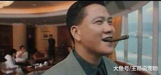 万梓良近照曝光，白发稀疏却笑容灿烂，港片老大哥晚年帅气依旧