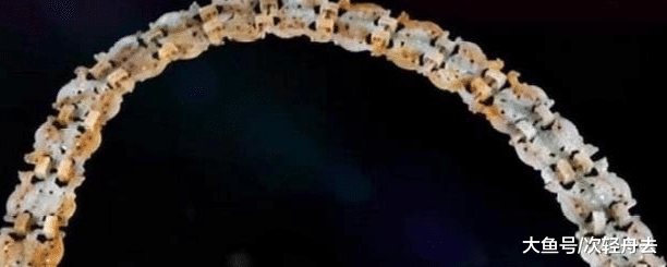 男子在地里挖出“玉腰带”，专家要求上交，三个字噎住专家