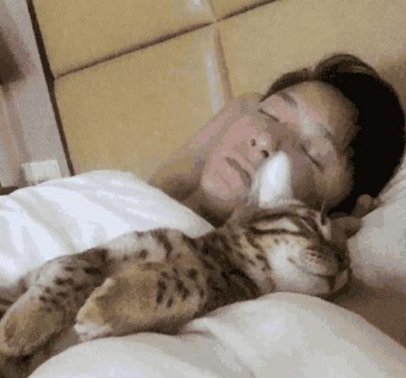 参观韩庚住的豪宅，生活中是铁打的＂猫控＂，连睡觉都抱着猫