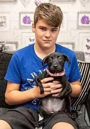 六条腿狗狗陪伴生病男孩，带他走出自卑...