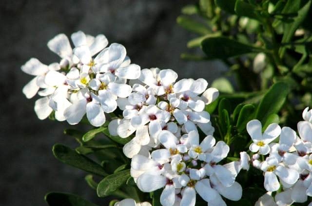 抄电表员大叔酒后漏嘴道：家中放上这样东西，一年就能省过半电费！