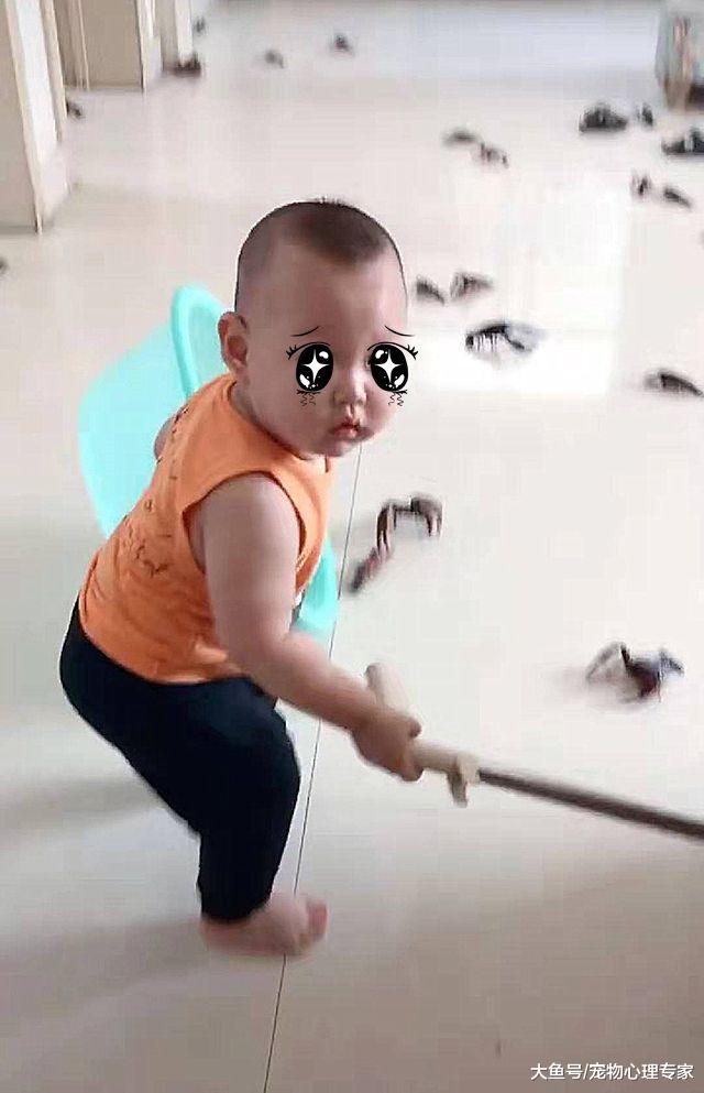 女子买了小龙虾，上个厕所的功夫，出来一看不知该打还是该笑