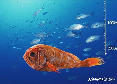 一块砖的压力旅行，从1000个大气压，到1000亿个大气压！