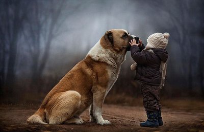 宝藏男孩窦骁为什么不养宠物？什么人不适合养宠物？